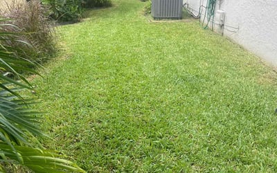 Photo of Jonathan O.'s yard after getting lawn care in Delray Beach, FL