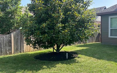 Photo of Sheila R.'s yard after getting lawn care in Warren, RI