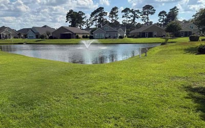 Photo of Mary A.'s yard after getting lawn care in Myrtle Beach, SC