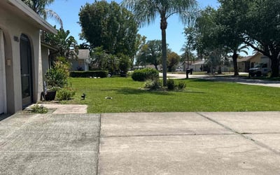 Photo of Betty J.'s yard after getting lawn care in Cape Coral, FL