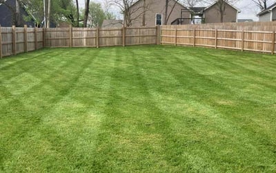 Photo of Tina H.'s yard after getting lawn care in Charlestown, IN