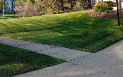 Photo of Bianca C.'s yard after getting lawn care in Streetsboro, OH
