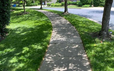 Photo of Georgia C.'s yard after getting lawn care in Bethesda, MD