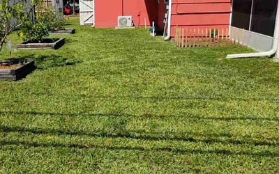 Photo of Kristal J.'s yard after getting lawn care in St. Petersburg, FL