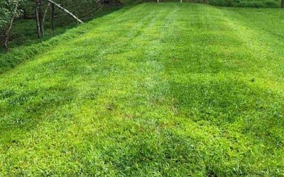 Photo of Liza C.'s yard after getting lawn care in Stroudsburg, PA