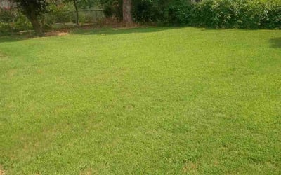 Photo of Jennifer M.'s yard after getting lawn care in Collinsville, OK
