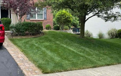 Photo of Tom S.'s yard after getting lawn care in Newark, OH