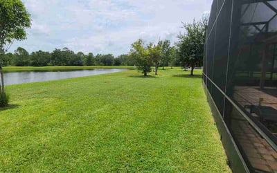 Photo of Nancy Z.'s yard after getting lawn care in Doctor Phillips, FL