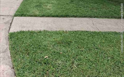 Photo of Sang L.'s yard after getting lawn care in Haverhill, MA