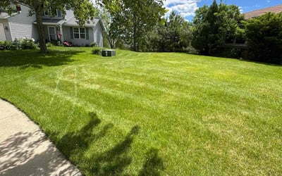 Photo of Ronald S.'s yard after getting lawn care in Port Washington, WI