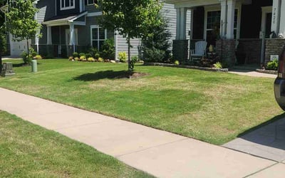 Photo of James F.'s yard after getting lawn care in Columbus, OH