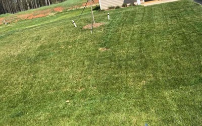 Photo of Shaun P.'s yard after getting lawn care in Lexington, NC