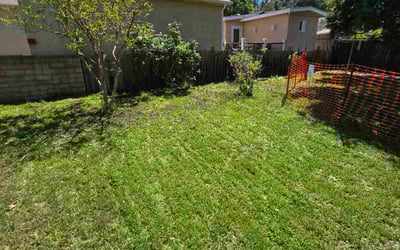 Photo of Mary V.'s yard after getting lawn care in Glendale, CA