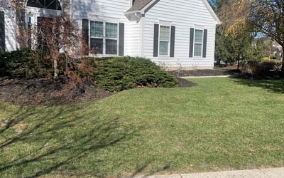 Photo of Marsha M.'s yard after getting lawn care in Williamsport, PA