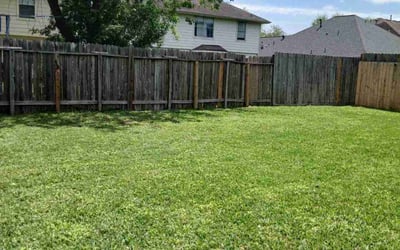 Photo of Yvette A.'s yard after getting lawn care in Rosenberg, TX