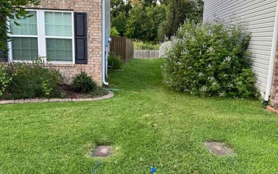 Photo of Matthew A.'s yard after getting lawn care in Forest Lake, MN