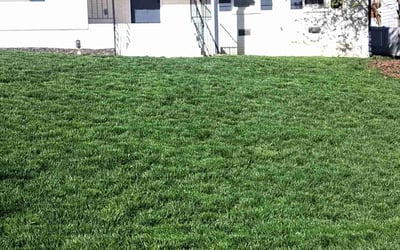 Photo of Jessica C.'s yard after getting lawn care in Bridgewater, MA