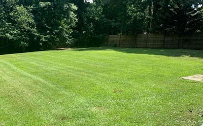 Photo of Sandra P.'s yard after getting lawn care in La Place, LA