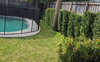 Photo of Sheila C.'s yard after getting lawn care in Jacksonville Beach, FL