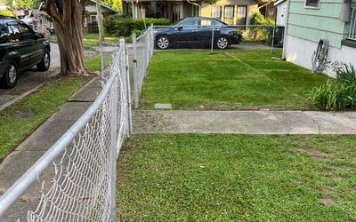 Photo of Shakir K.'s yard after getting lawn care in Irving, TX
