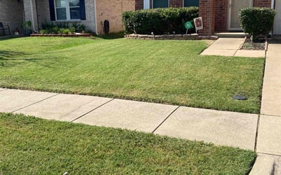 Photo of Katelyn G.'s yard after getting lawn care in New Rochelle, NY