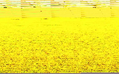 Photo of Kelli O.'s yard after getting lawn care in Sapulpa, OK