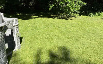 Photo of James L.'s yard after getting lawn care in Leavenworth, KS