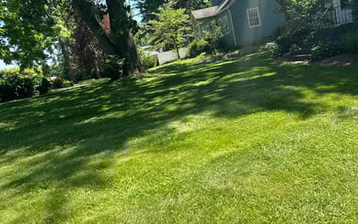 Photo of Michael M.'s yard after getting lawn care in Shelbyville, IN