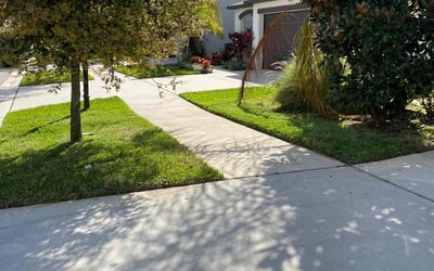 Photo of Brooke B.'s yard after getting lawn care in Sun City Center, FL