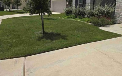 Photo of Glenn S.'s yard after getting lawn care in Indian Trail, NC