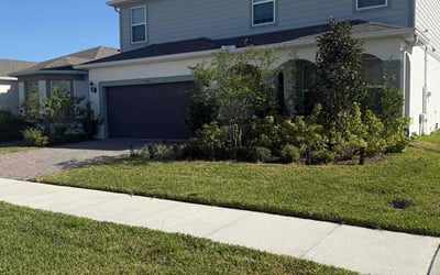 Photo of Roseanne J.'s yard after getting lawn care in Clermont, FL