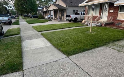 Photo of Marcia C.'s yard after getting lawn care in Eastpointe, MI