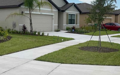 Photo of Cindi H.'s yard after getting lawn care in Port St. Lucie, FL