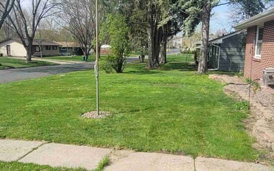 Photo of Rita K.'s yard after getting lawn care in East Bethel, MN