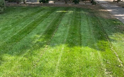 Photo of Beverly L.'s yard after getting lawn care in Barstow, CA