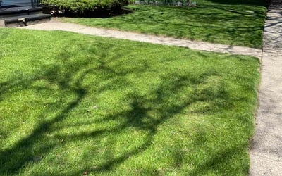 Photo of Lori R.'s yard after getting lawn care in Kenosha, WI