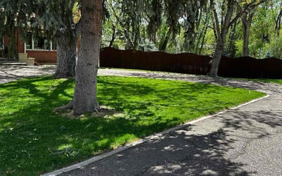 Photo of Claudine H.'s yard after getting lawn care in Black Forest, CO