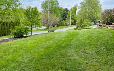 Photo of Rafael C.'s yard after getting lawn care in Kennett Square, PA