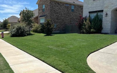 Photo of Salvatore B.'s yard after getting lawn care in Pflugerville, TX