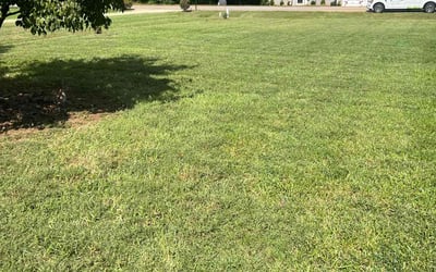 Photo of Lisa w.'s yard after getting lawn care in Stanley, NC