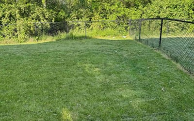 Photo of Rui W.'s yard after getting lawn care in Selbyville, DE