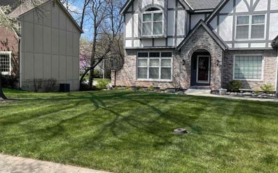 Photo of Edna M.'s yard after getting lawn care in Leawood, KS