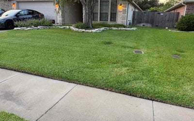 Photo of Donna S.'s yard after getting lawn care in Black Mountain, NC