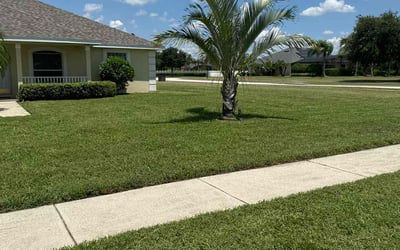 Photo of Andrew L.'s yard after getting lawn care in Rancho Cordova, CA