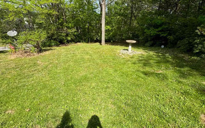 Photo of Brandon M.'s yard after getting lawn care in Nashville, TN