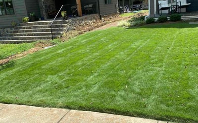 Photo of Ethel C.'s yard after getting lawn care in Warrior, AL