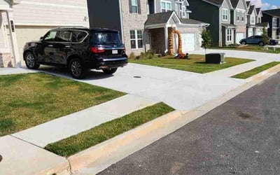 Photo of Kathy S.'s yard after getting lawn care in St. Louis, MO