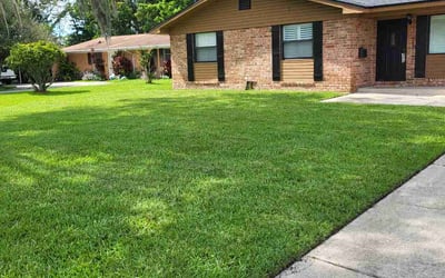 Photo of Denise B.'s yard after getting lawn care in Cape Canaveral, FL