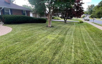 Photo of Aubre T.'s yard after getting lawn care in Olney, MD