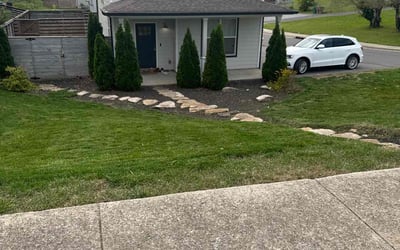 Photo of Rosalind B.'s yard after getting lawn care in Dickson, TN